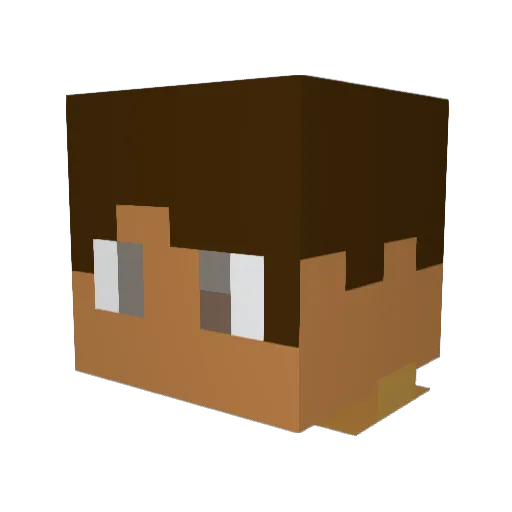 Bamboozles Minecraft avatar head, 3D render