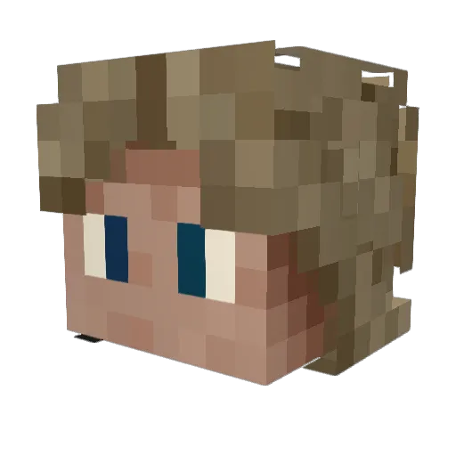 Bambu22 Minecraft avatar head, 3D render