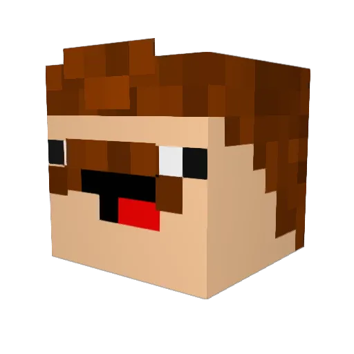 Bambusology Minecraft avatar head, 3D render