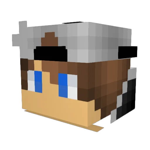 BameeTom Minecraft avatar head, 3D render