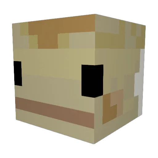 Bamfony_ Minecraft avatar head, 3D render