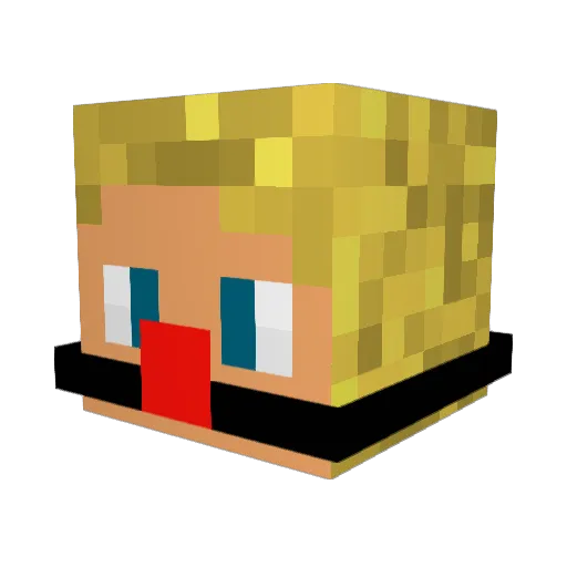 Bammargera23 Minecraft avatar head, 3D render