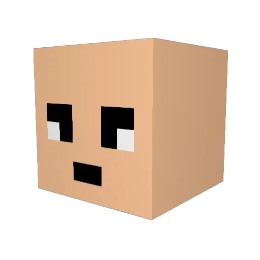 BampaBlank Minecraft avatar head, 3D render