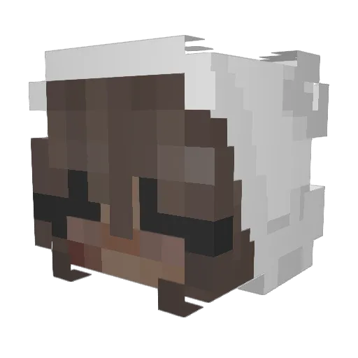 Bamsemumss Minecraft avatar head, 3D render