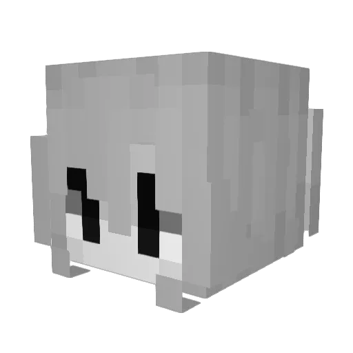 BanCatsNow Minecraft avatar head, 3D render