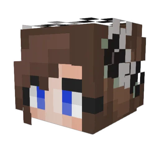 BanHammeren Minecraft avatar head, 3D render