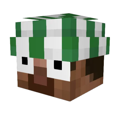 BanLeo Minecraft avatar head, 3D render