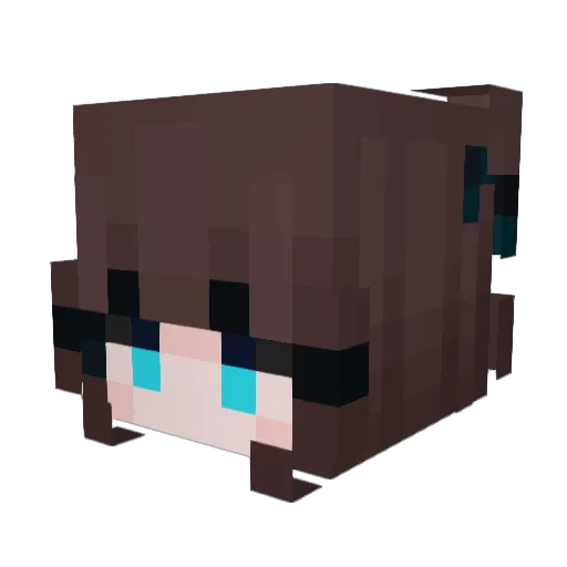 BanOwnEr Minecraft avatar head, 3D render