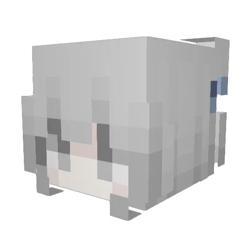 BanTraiCoAy Minecraft avatar head, 3D render