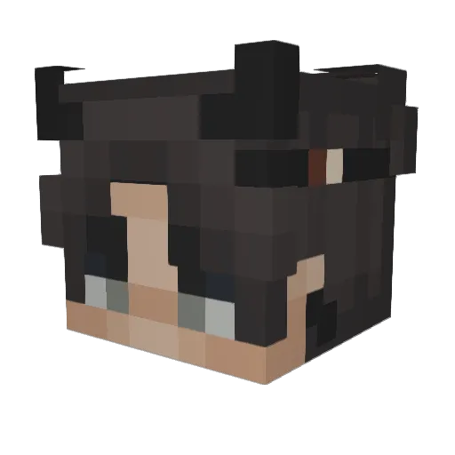 BanaanGamer Minecraft avatar head, 3D render