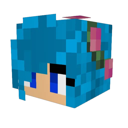 Banan509 Minecraft avatar head, 3D render