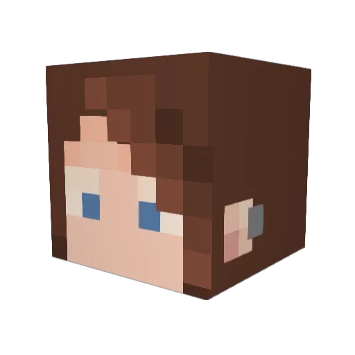 Banana5422 Minecraft avatar head, 3D render