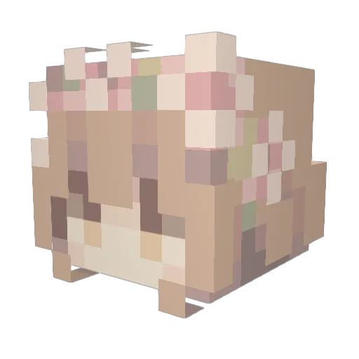 BananaBelle12 Minecraft avatar head, 3D render