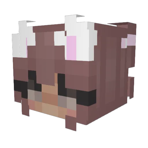 BananaBurger1 Minecraft avatar head, 3D render