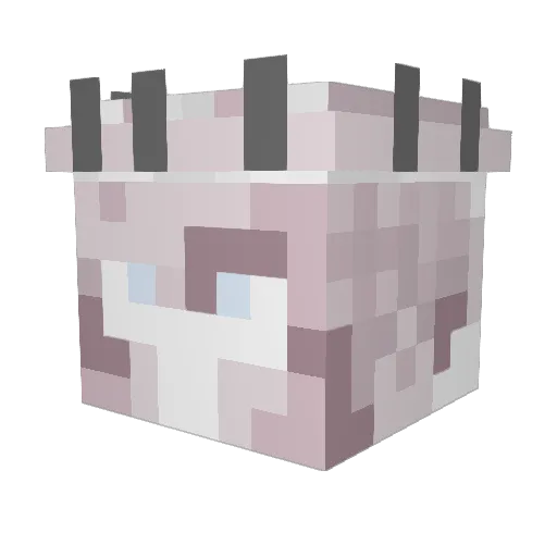 BananaJuicier Minecraft avatar head, 3D render