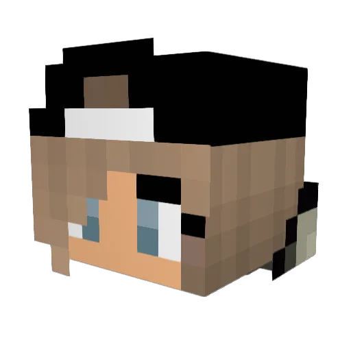 BananaSplit2311 Minecraft avatar head, 3D render