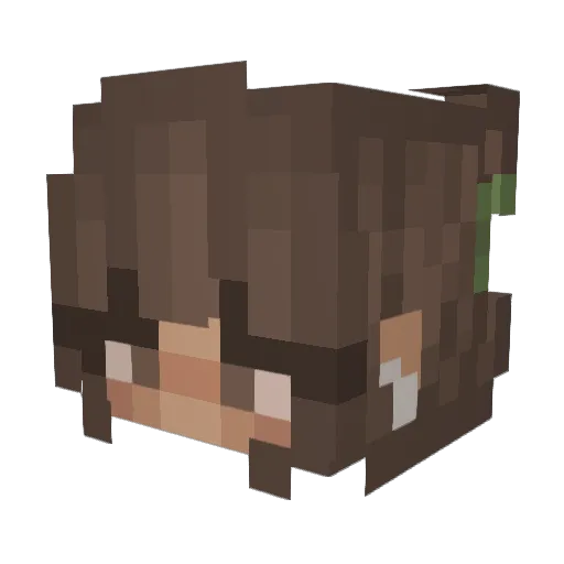BananaaHan Minecraft avatar head, 3D render