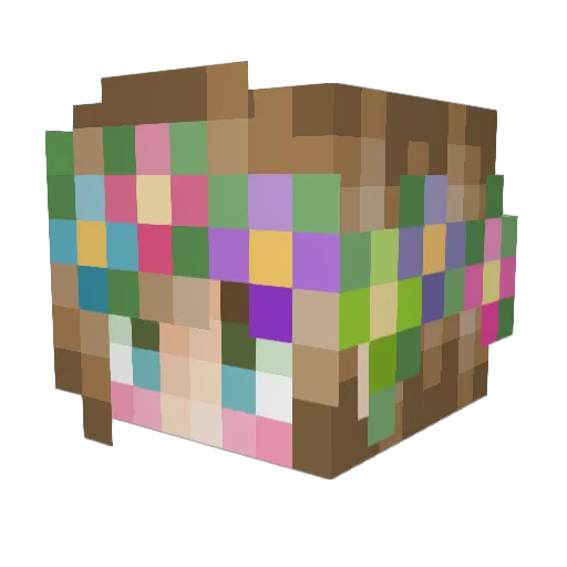Bananacool1 Minecraft avatar head, 3D render