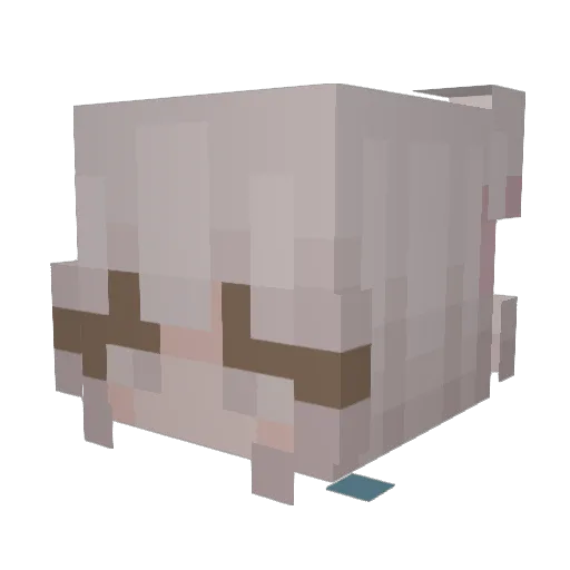 BananadoesYT Minecraft avatar head, 3D render