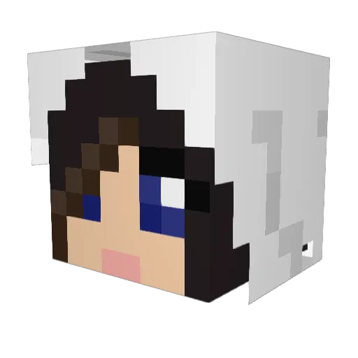 Bananadragon117 Minecraft avatar head, 3D render