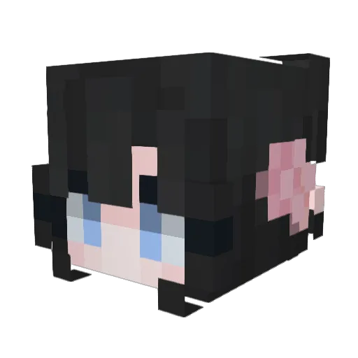 Bananaeater99 Minecraft avatar head, 3D render