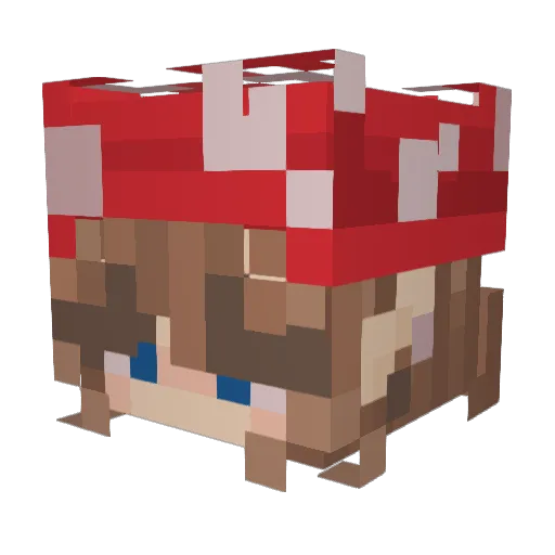 Bananasrgood2 Minecraft avatar head, 3D render