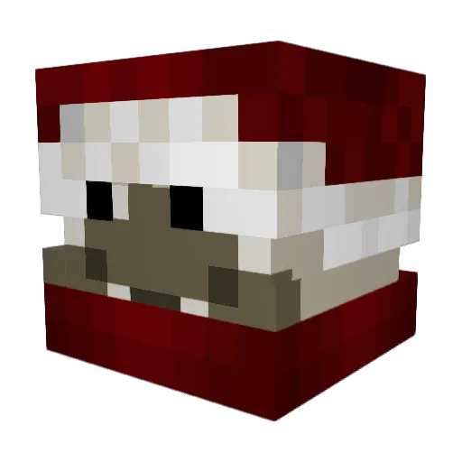 BananeFlambeee Minecraft avatar head, 3D render