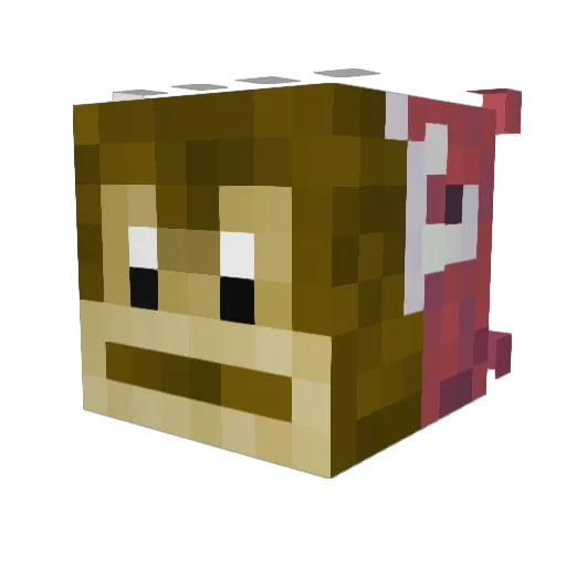 Bananendiebin Minecraft avatar head, 3D render