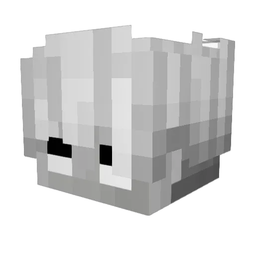 Bananenotfound Minecraft avatar head, 3D render