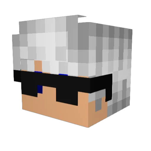Bananenspinne4 Minecraft avatar head, 3D render