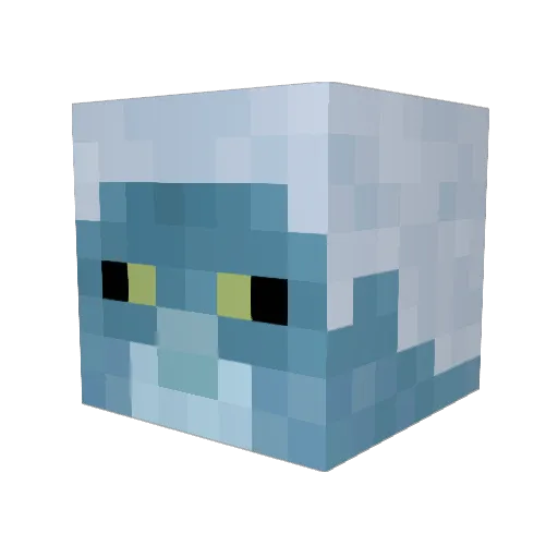 Banankupy123 Minecraft avatar head, 3D render