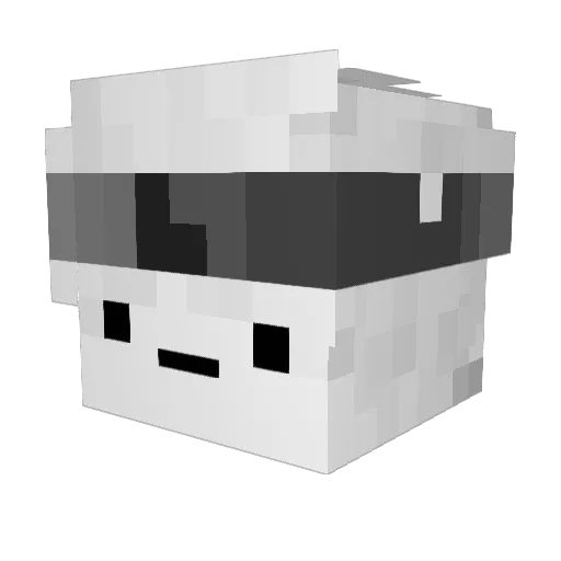 BanannaBoi Minecraft avatar head, 3D render