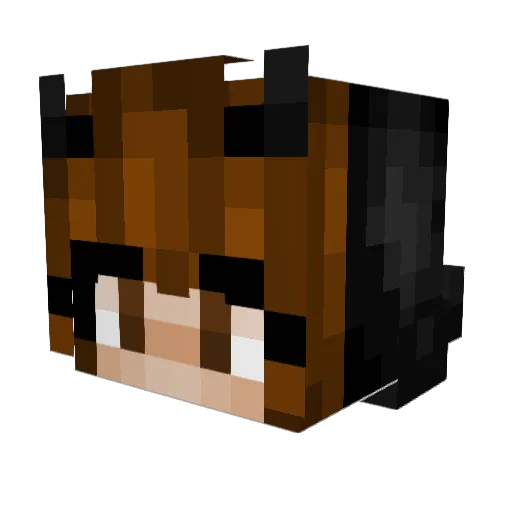 Bananshrimp Minecraft avatar head, 3D render
