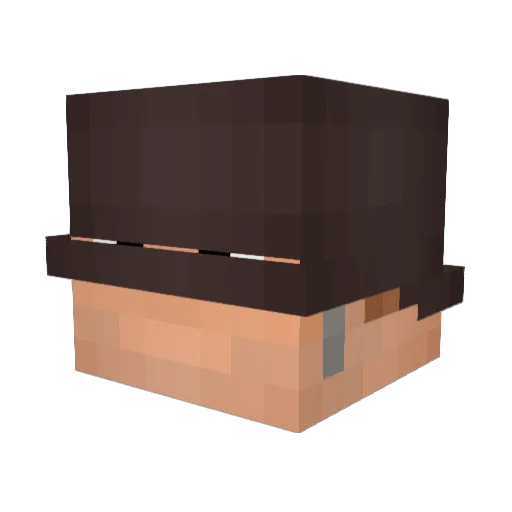 BandanaSplitzzz Minecraft avatar head, 3D render