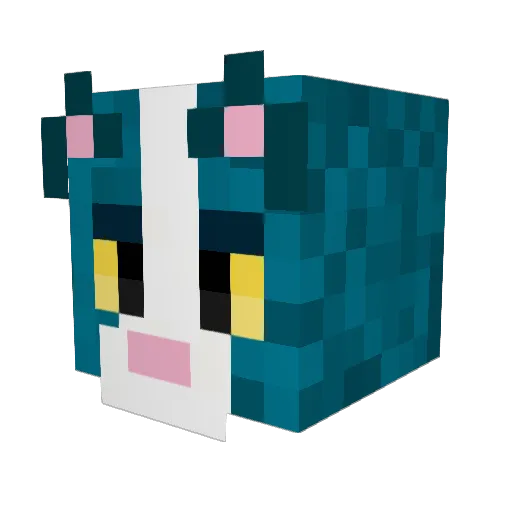 Bander24 Minecraft avatar head, 3D render
