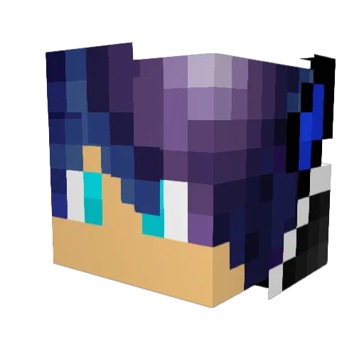 Bandit2020 Minecraft avatar head, 3D render