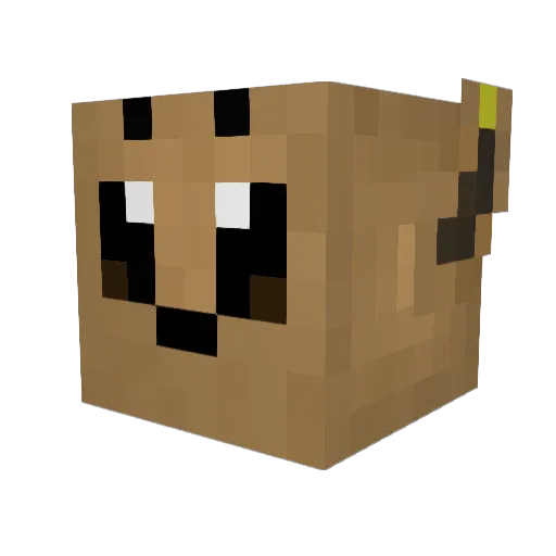 Bandit290 Minecraft avatar head, 3D render