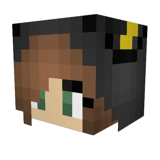 Bandit461 Minecraft avatar head, 3D render