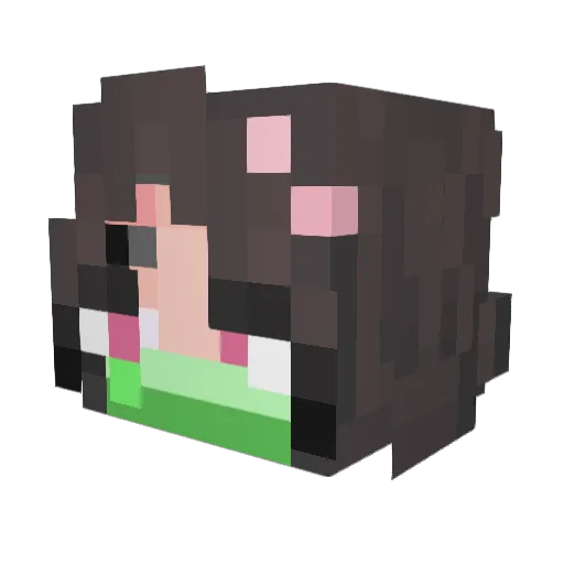 Bandit8371 Minecraft avatar head, 3D render