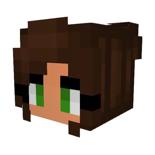 BanditSoup Minecraft avatar head, 3D render