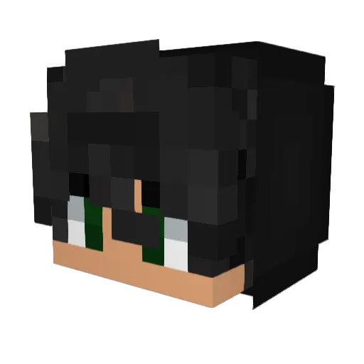 Bandit_110 Minecraft avatar head, 3D render