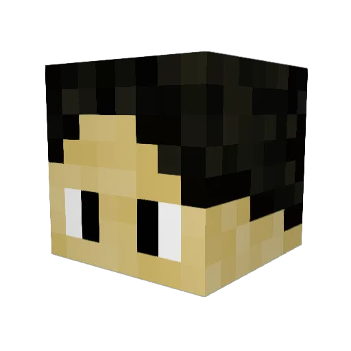 Bandit_545 Minecraft avatar head, 3D render