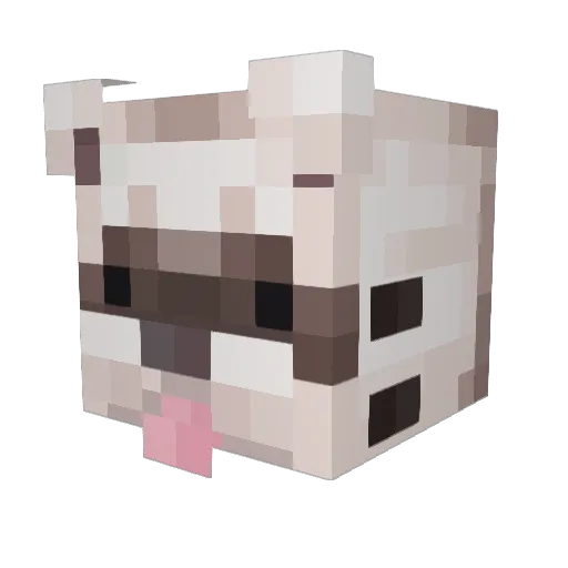 Bandit_Daev Minecraft avatar head, 3D render