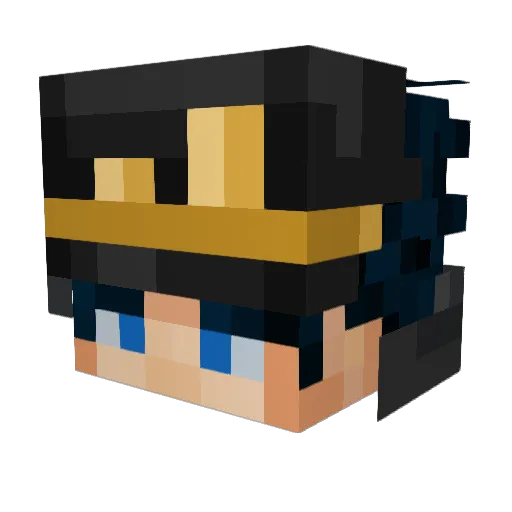 Bandit_burrito_ Minecraft avatar head, 3D render