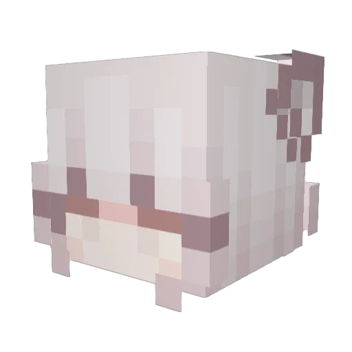 Banditt1134 Minecraft avatar head, 3D render