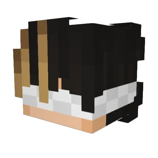 BandoBoai Minecraft avatar head, 3D render
