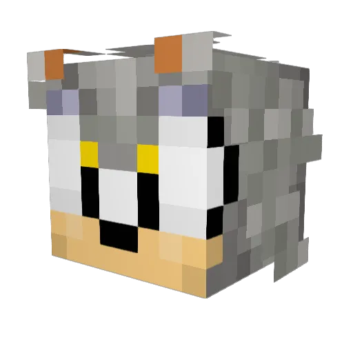 BandoYT19 Minecraft avatar head, 3D render