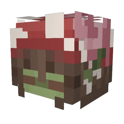 Bandycase Minecraft avatar head, 3D render