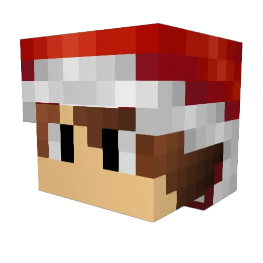 Bane69er Minecraft avatar head, 3D render