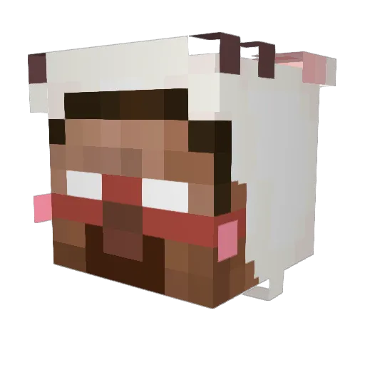 Banerx Minecraft avatar head, 3D render